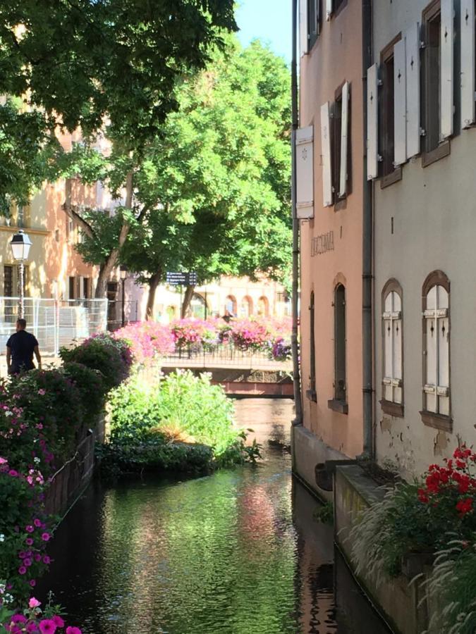 La Maison De Vacances De Colmar Et Son Jardin Exterior photo