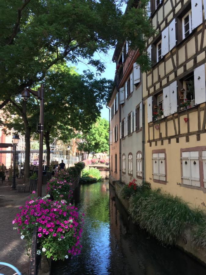 La Maison De Vacances De Colmar Et Son Jardin Exterior photo