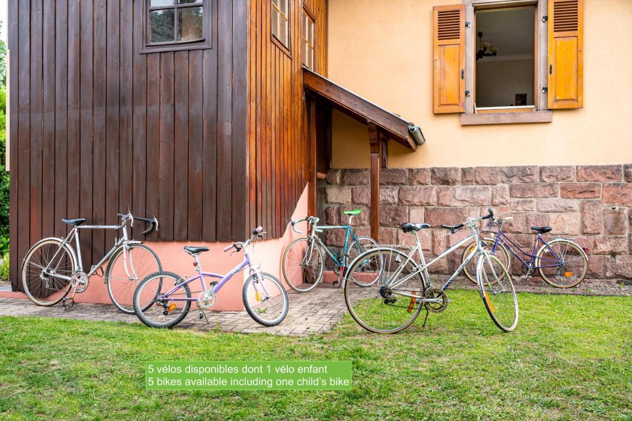 La Maison De Vacances De Colmar Et Son Jardin Exterior photo